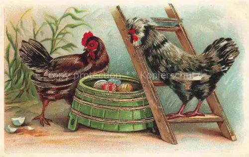 AK / Ansichtskarte VoeGEL Birds Oiseaux Uccelli Pajaros-- Huehner Eier Ostern  