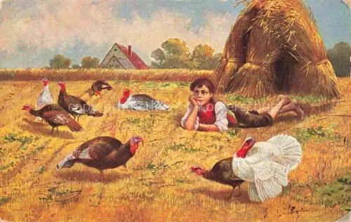 AK / Ansichtskarte VoeGEL Birds Oiseaux Uccelli Pajaros-- Truthahn Pute Landwirtschaft Kind