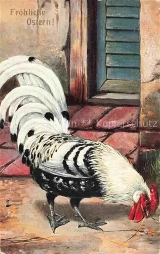 AK / Ansichtskarte VoeGEL Birds Oiseaux Uccelli Pajaros-- Hahn Ostern