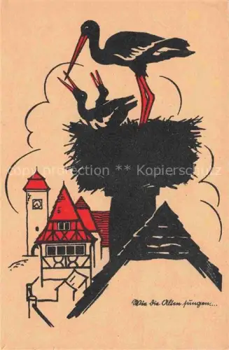 AK / Ansichtskarte Storch Stork Cigogne Ciguena-- Schwarz Rot 