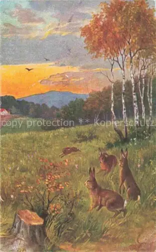 AK / Ansichtskarte Hasen -Rabbits Lapins Conejos-- Landschaft
