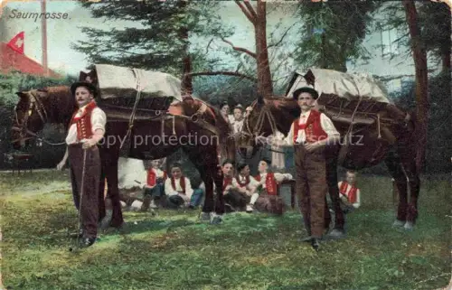 AK / Ansichtskarte PFERDE Horses Cheval Saumrosse