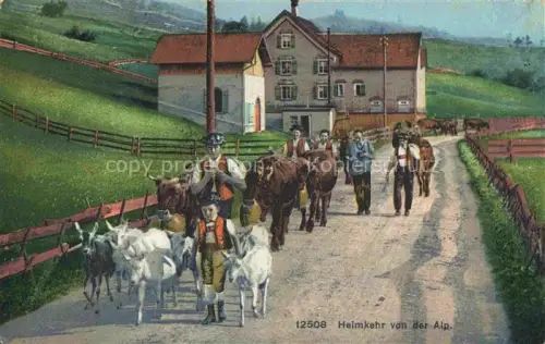 AK / Ansichtskarte Landwirtschaft Agriculturo Agriculture-- Ziegen Kuehe Heimkehr von der Alp. 