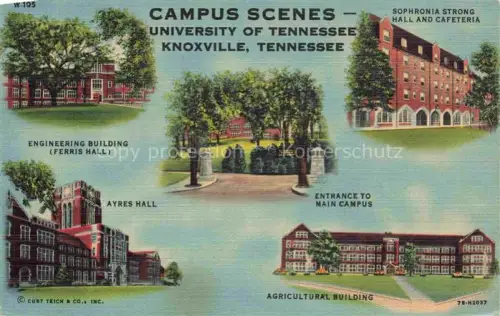AK / Ansichtskarte Knoxville Tennessee USA Campus Scenes University of Tennessee
