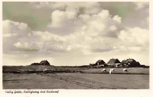 AK / Ansichtskarte Hallig Groede Nordfriesland Schleswig-Holstein Panorama Halligkroog und Kirchwarf