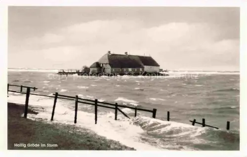 AK / Ansichtskarte Hallig Groede Nordfriesland Schleswig-Holstein Hallig im Sturm