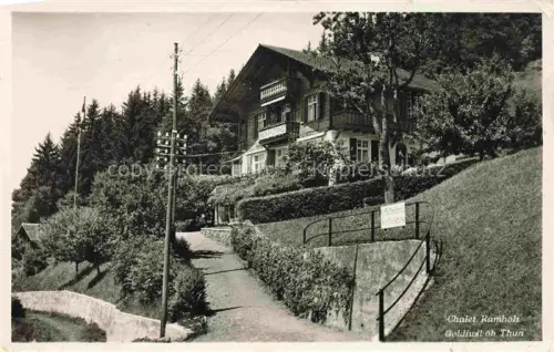 AK / Ansichtskarte Goldiwil Goldiwyl Thun BE Chalet Ramholz
