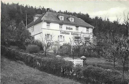 AK / Ansichtskarte Bad Koenig Odenwald Hessen Pension Landhaus Karoline