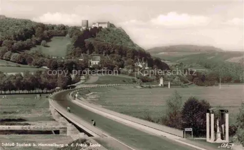 AK / Ansichtskarte Hammelburg Bad Kissingen Bayern Schloss Saaleck an der Fraenkischen Saale