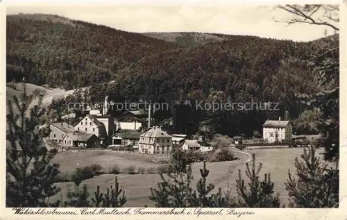 AK / Ansichtskarte Frammersbach Main-Spessart Bayern Waldschlossbrauerei Carl Maultasch