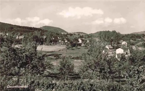 AK / Ansichtskarte Marktheidenfeld Main-Spessart Bayern Panorama