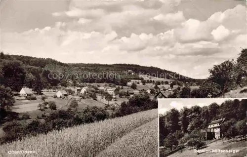 AK / Ansichtskarte OLTEN SO Pension Miltenberger Panorama