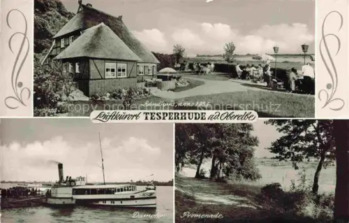 AK / Ansichtskarte Tesperhude Elbe HAMBURG Landhaus Dampfer Promenade