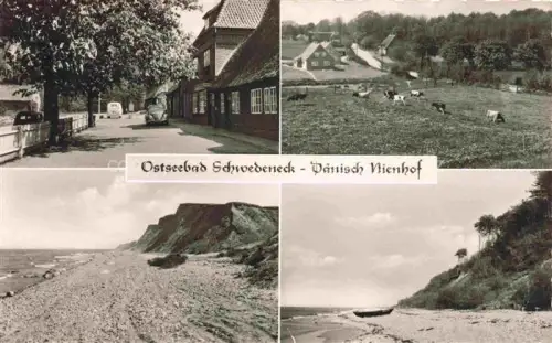 AK / Ansichtskarte Daenisch-Nienhof Kiel Schleswig-Holstein Gastaette Pension zur Schmiede Strand Steilkueste