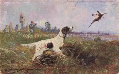 AK / Ansichtskarte Jagd Chasse Hunting-- Hund Vogel Mueller. M 