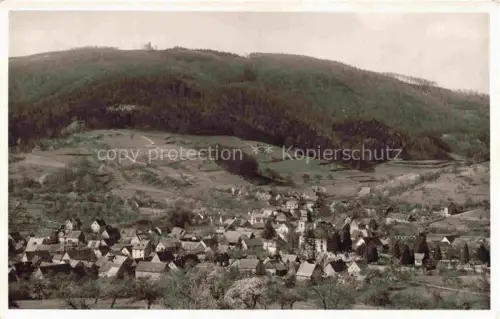 AK / Ansichtskarte Reichenbach Odenwald Lautertal Bergstrasse Hessen Panorama