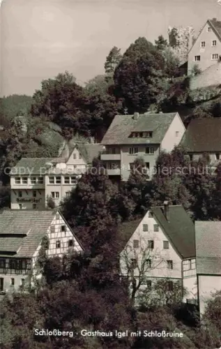 AK / Ansichtskarte Osternohe Lauf Pegnitz Nuernberger Land Bayern Schlossberg Gasthaus Igel mit Schlossruine