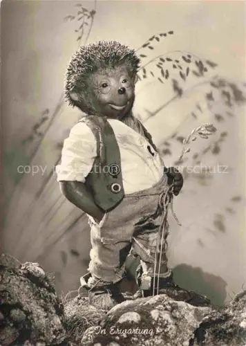 AK / Ansichtskarte MECKI Nr. 3 Gebrueder Diehl HoeR ZU In Erwartung