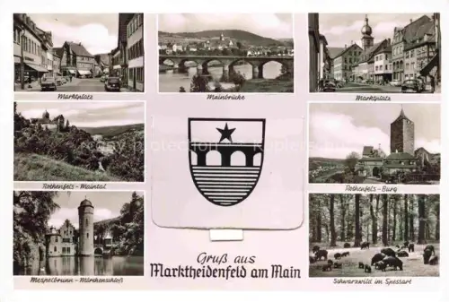 AK / Ansichtskarte Marktheidenfeld Main-Spessart Bayern Marktplatz Mainbruecke Rothenfels Maintal Burg Mespelbrunn Maerchenschloss Schwarzwild im Spessart