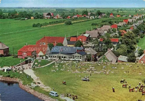AK / Ansichtskarte Kollmar Holstein Steinburg Schleswig-Holstein Faehrhaus Kollmar Gaststaette Café an der Elbe
