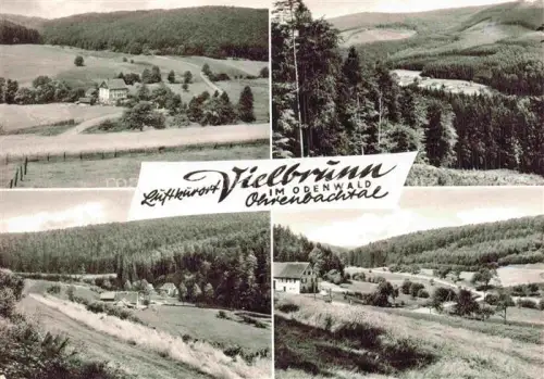 AK / Ansichtskarte Vielbrunn Panorama Teilansichten