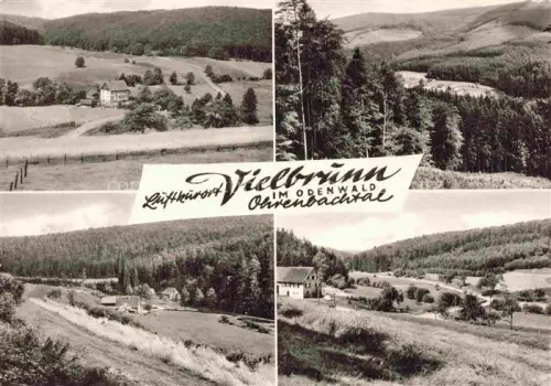 AK / Ansichtskarte Vielbrunn Panorama Teilansichten