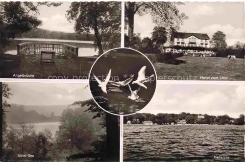AK / Ansichtskarte Uklei Sielbeck Schleswig-Holstein Restaurant Café Hotel zum Uklei Angelbruecke Uklseisee Wasservoegel
