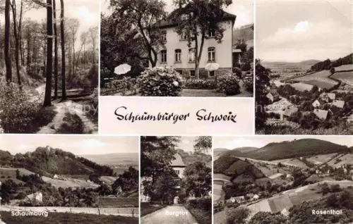 AK / Ansichtskarte Rosenthal Rinteln Schaumburg Niedersachsen Pension Schaumburger Schweiz Panorama Schaumburg Rosenthal Burgtor