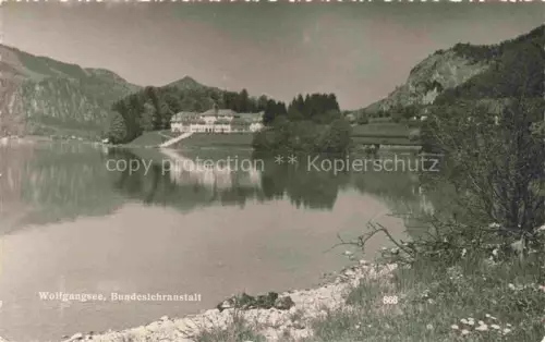 AK / Ansichtskarte Wolfgangsee ST WOLFGANG  Oberoesterreich AT Uferpartie am See Bundeslehranstalt