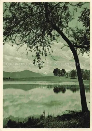 AK / Ansichtskarte Ostensee GARMISCH-PARTENKIRCHEN Bayern Landschaft Partie am See Alpenblick