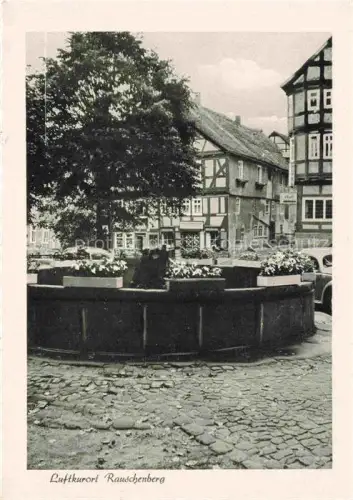 AK / Ansichtskarte RAUSCHENBERG  Marburg Hessen Brunnen Schutzdach Fachwerkhaeuser Baum Ortsmitte Pflaster