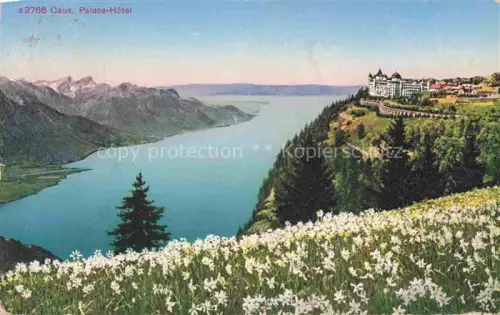 AK / Ansichtskarte Caux Montreux VD Panorama Palace Hotel Genfersee