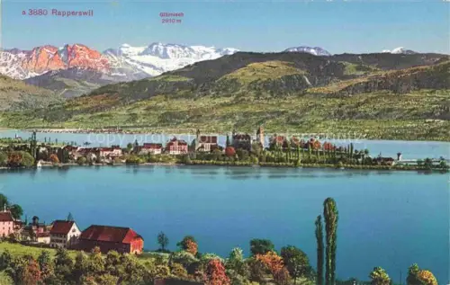 AK / Ansichtskarte Rapperswil -Jona Rapperswyl Zuerichsee SG Panorama Blick ueber den Zuerichsee Alpenkette