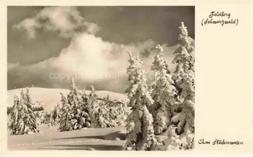 AK / Ansichtskarte Feldberg 1450m Schwarzwald BW Am Stuebenwasen