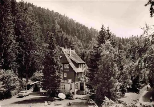 AK / Ansichtskarte Hinterzarten Breisgau-Hochschwarzwald BW Pension Waldeck mit Gaestehaus im Schwarzwald