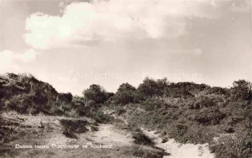 AK / Ansichtskarte Oostvoorne aan Zee NL Duinen tussen en Rockanje