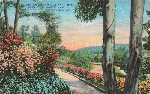 AK / Ansichtskarte LOS ANGELES California USA Elysian Park