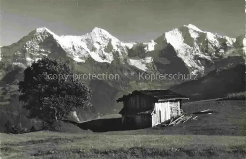 AK / Ansichtskarte Amisbuehl Beatenberg Thunersee BE Panorama Blick gegen Eiger Moench und Jungfrau Berner Alpen