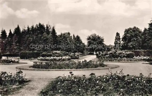AK / Ansichtskarte ELMSHORN Pinneberg Schleswig-Holstein Partie im Rosengarten