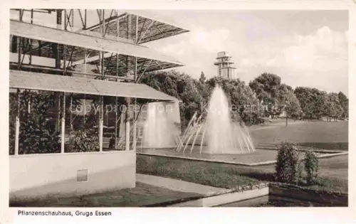 AK / Ansichtskarte EssEN  Ruhr Pflanzenschauhaus Gruga Park