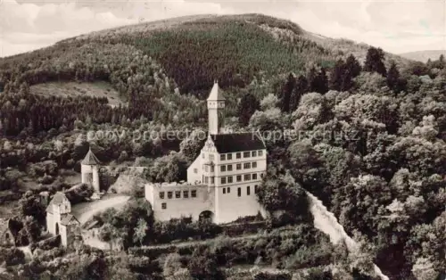 AK / Ansichtskarte Hirschhorn Neckar Hessen Burg Hirschhorn mit Schlosshotel
