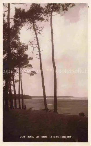 AK / Ansichtskarte RONCE-LES-BAINS LA TREMBLADE Rochefort 17 Charente-Maritime La Pointe Espagnole