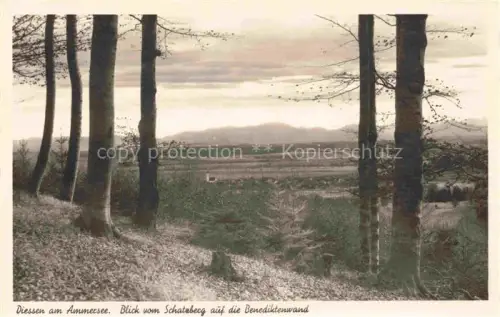 AK / Ansichtskarte Diessen Ammersee Blick vom Schatzberg auf die Benediktenwand