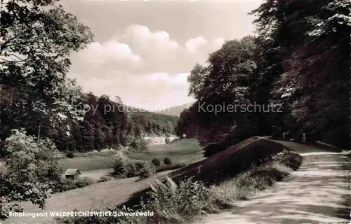AK / Ansichtskarte Waldprechtsweier Malsch Karlsruhe BW Panorama