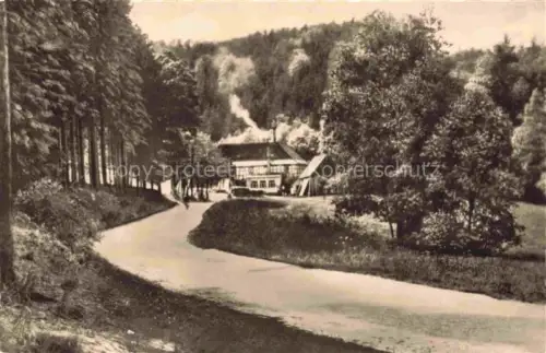 AK / Ansichtskarte Bad Klosterlausnitz Froschmuehle 