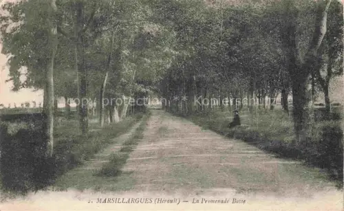 AK / Ansichtskarte Marsillargues MONTPELLIER 34 Herault La Promenade Basse