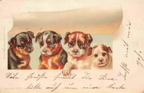 AK / Ansichtskarte WEZEL & NAUMANN Leipzig Verlag Kuenstlerlitho Nr. Nr. 11 Hunde 