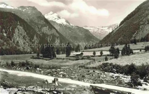 AK / Ansichtskarte MALLNITZ  Tauernbahn Kaernten AT Panorama Seebachtal mit Blick gegen Ankogel