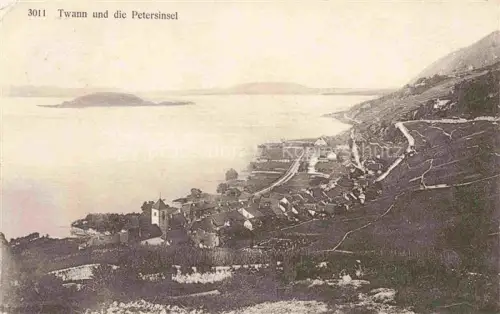 AK / Ansichtskarte Twann Nidau BE Panorama Petersinsel