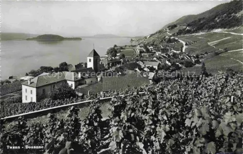 AK / Ansichtskarte Twann Nidau BE Panorama Weinberge Bielersee